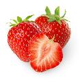 Саженцы земляники